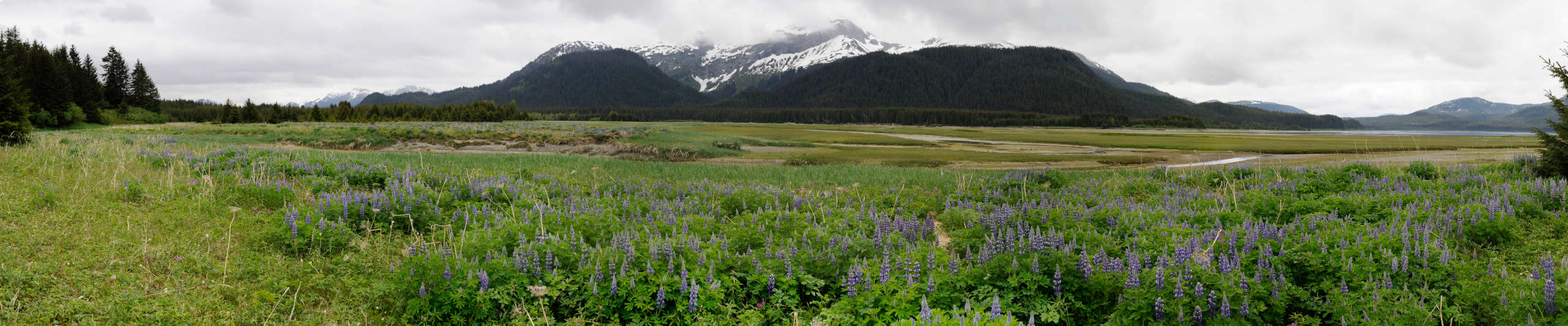 Glacier Bay landscape